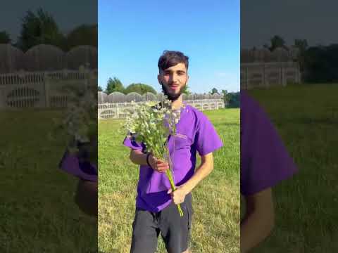 Баранина - для ДЕВОЧЕК 🔥