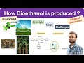 Bioethanol Production and Challenges