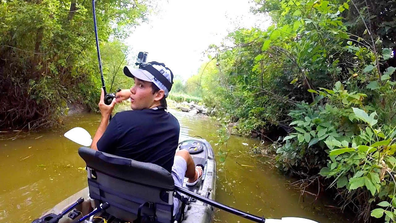 THAT WAS A GIANT BASS
