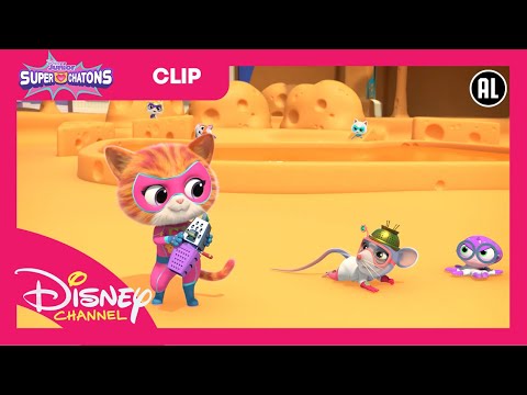 Super Chatons | Le Créateur de Fromage| Disney Channel BE