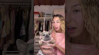 Cutest girl ever #frenchie #ibiza #winter