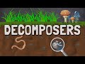 Decomposers and Nutrient Cycling