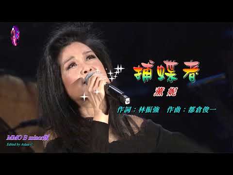 捕蝶者  薰妮〈MMO B minor版〉