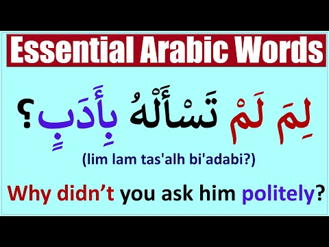 Top 6 Essential Arabic Words For Everyday Conversations | Learn Arabic Language