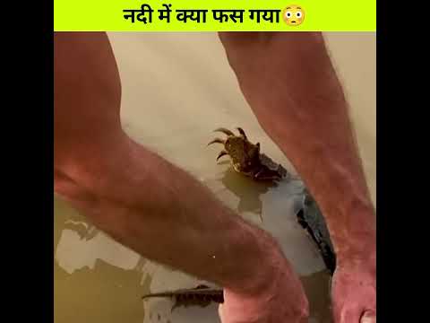 नदी में क्या😦 फस गया😯#shorts