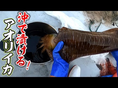 生きたままの巨大イカを醤油で漬け込んで最強の沖漬けを作ってみた。