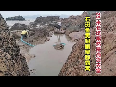 【阿向趕海】 天時地利才能抽的25公尺長坑 果然是海貨天堂 石斑魚黃翅鯛聚群霸窩