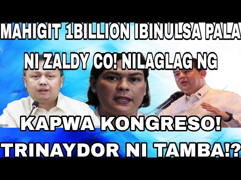 MAHIGIT 1BILLION IBINULSA PALA NI ZALDY CO! NILAGLAG NG KAPWA KONGRESO! TRINAYDOR NI TAMBA!? OVP!?