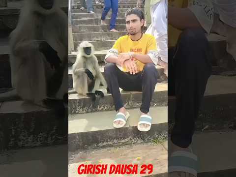बंदरों के साथ क्या मजाक 🤣😂#funny #funnyvideo #fun#funnyshorts#trendingshorts#trend #tranding #tiktok