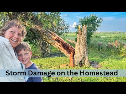 Unpredicted Storm hits the Homestead