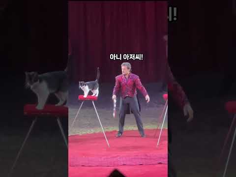 환장의 호흡 [꿹스더빙]