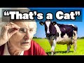 AI Grandma's Object Identification Errors