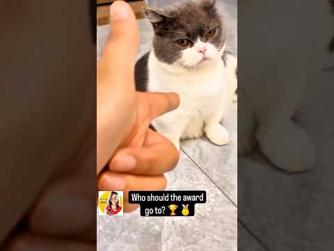 Best in acting award goes to?🏆🐶 #pets #cuteanimal #funny #cat #dog #love #action #fyp #jabayrante