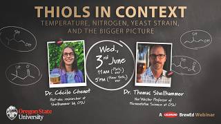 Thiols in Context: Temperature, Nitrogen, Yeast Strain, and the Bigger Picture