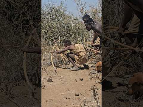 Hadzabe tribe MOST Fearless Skilled hunters on earth today #tradition #bushcraft