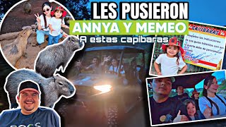 BAUTIZANDO CAPIBARAS, PASEO Y KEKIS | VLOG