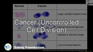 Cancer (Uncontrolled Cell Division)