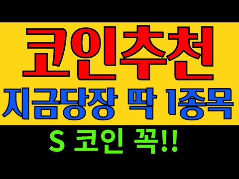 알트코인추천 - 순환매 장에서 빛을 볼 알트코인