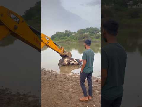 Jay Gaumata 🙇🏻🥺|| Save Animal || #sanatandharma 🚩 #ganeshchaturthi
