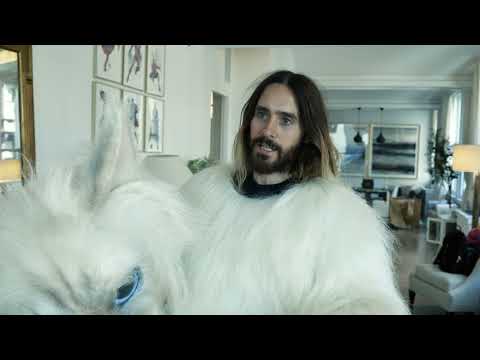 Jared Leto is everyone's cat