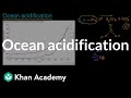 Ocean Acidification and Carbon Dioxide Impact