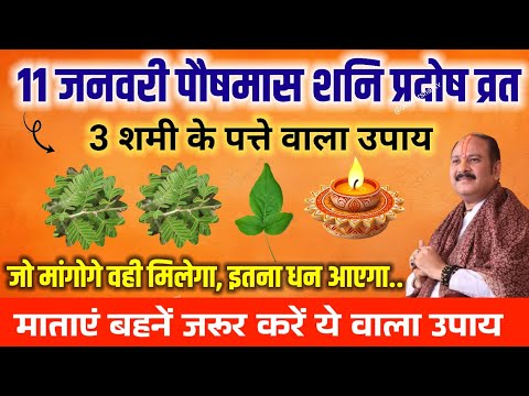 11 जनवरी पौष शनि प्रदोष व्रत को 03 शमी के पत्ते वाला उपाय जरूर करें || प्रदीप मिश्रा जी || शनिवार