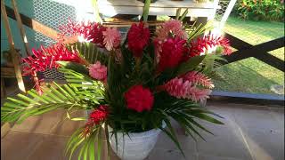 Fiji Flowers - A small selection