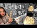 Exploring the Five Senses with Popcorn