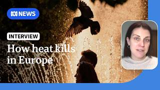 YouTube video thumbnail: WHO Attributes 1,300 Deaths in Europe to Record Heatwaves 