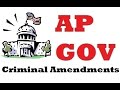 Rights and Protections in Amendments