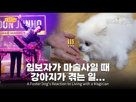 내 보호자 마술사인데🧙‍♂️하루 종일 마술쇼 본 썰 푼다 My guardian is a magician Let me tell you how I watched a magic show