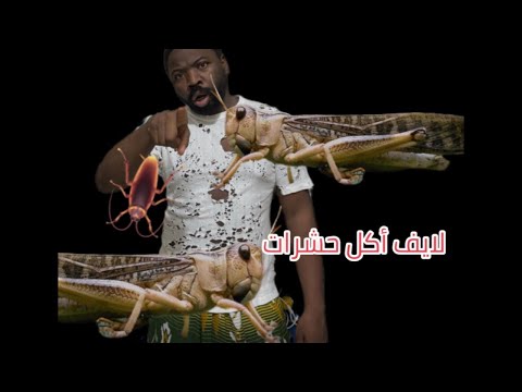 ‏بنام في البث 24 ساعة ⏰ ￼
