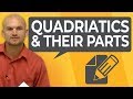 Understanding Quadratic Equations Concepts