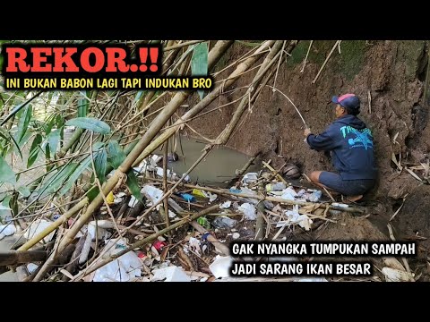 BUSET.!! MANCING DI BAWAH BAMBU RUNTUH JACKPOT || DAPAT IKAN SUPER BABON BRO