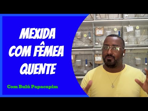 COMO FAZER MEXIDA COM FÊMEA MUITO PRONTA