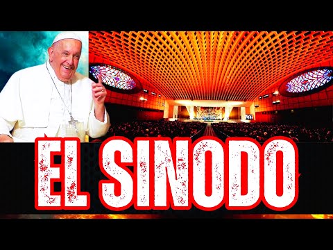 🚨Papa Francisco DECLARA: Deben Convertirse a la "Iglesia Sinodal"