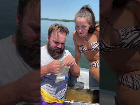 HIDDEN Pregnancy Test in a Treasure Chest!?? #shorts #couples