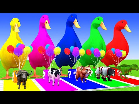 5 Giant Duck Cartoon,Tiger,Cow,Dinosaur,Gorilla,Elephant Wild Animals choose the right mystery door