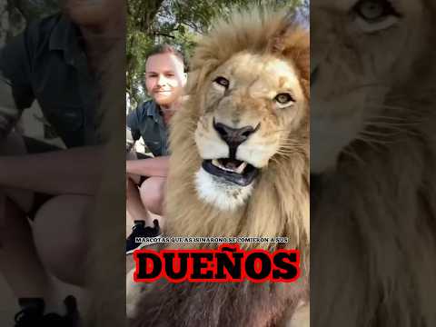 Mascotas que Asesinaron o se comieron a sus dueños | Parte 7