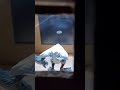 Light Experiment Observations and Materials