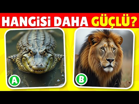 🧠 Hayvanlar Hakkındaki Bilgin Ne Kadar İyi? 🦁🐘✅ 40 Soruluk Hayvan Bulmacası