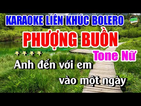 Karaoke Liên Khúc Nhạc Trữ Tình Tone Nữ Dễ Hát | Bolero Nhạc Xưa Bất Hủ | PHƯỢNG BUỒN