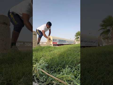 عربی لوگ نماز کہ بڑے پبند ہوتے ہیں لیکن یہ جو سُستی اور  غیر  زومداری ہم #pakistan