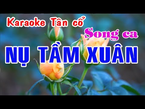 Karaoke tân cổ NỤ TẦM XUÂN – SONG CA [Thanh Tuấn – Thanh Kim Huệ]