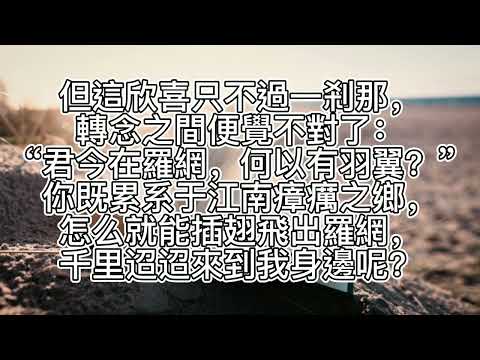 夢李白二首·其一 朝代 唐代 作者 杜甫 同類型的詩文 唐詩三百首 典故 寫人 - YouTube