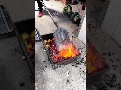 Roast Pegions｜Street Food