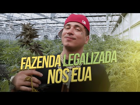 Minha Vida Na Califórnia - Vlog do Felp EP.2