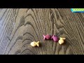 Natural Selection in Goldfish Experiment