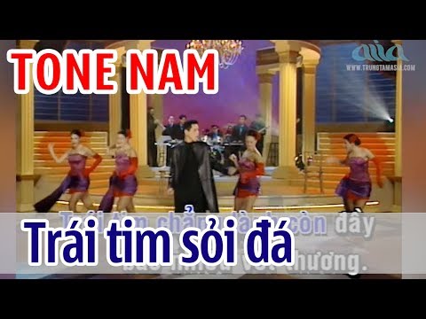 Trái Tim Sỏi Đá KARAOKE – Lê Tâm | Tone Nam | Asia Karaoke Beat Chuẩn