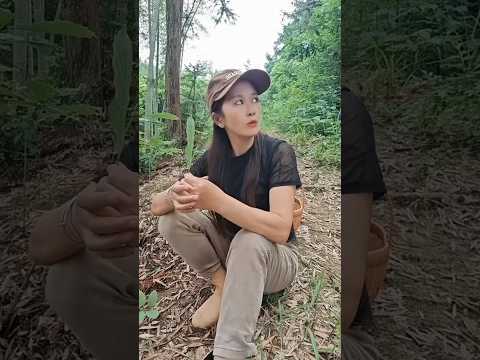 masteran burung viral kocak bikin ngakak hiburan warga +62 fuunyvideos